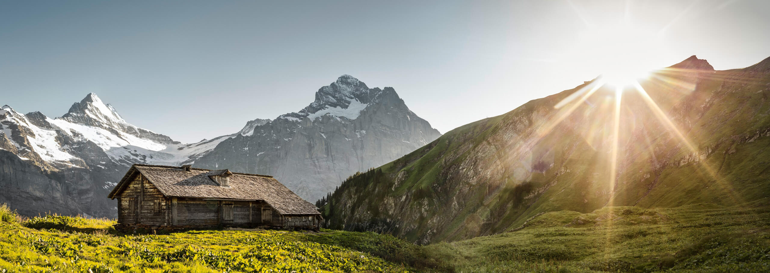 Ricola:  Win an unforgettable holiday to Switzerland